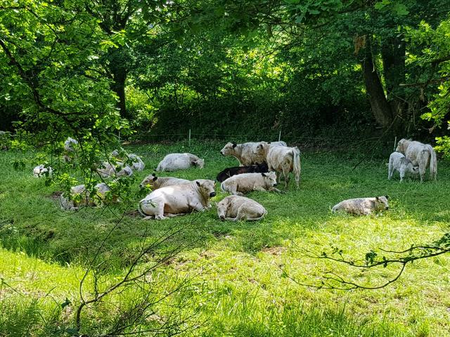 Foto: Manuela Pfaender