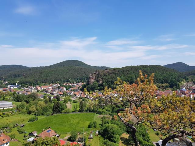 Foto: Manuela Pfaender