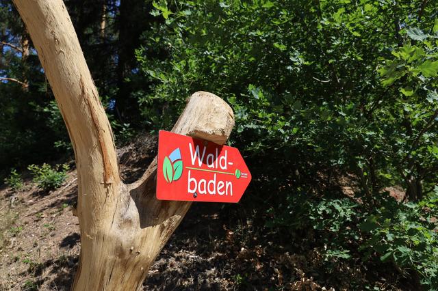Foto: Ralf Vester