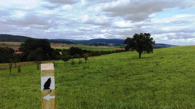 Hinkelsteinweg mit Blick ins Donnersberg-Massiv | Foto: VG Otterbach-Otterberg