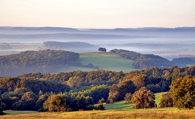 Blick aus der Gemarkung Sulzbach | Foto: VG Otterbach-Otterberg
