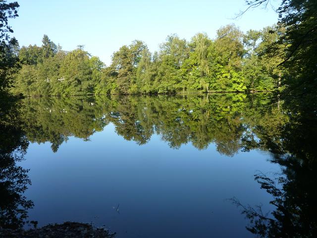 Lanzenbrunnerweiher | Foto: VG Otterbach-Otterberg