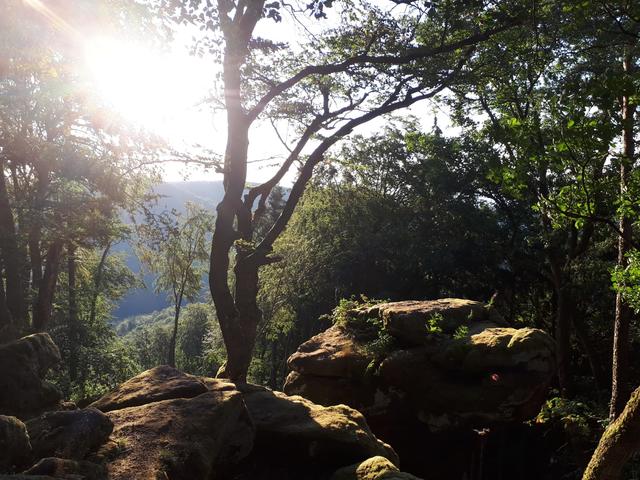 Morgenstimmung am Rahnfelsen, 517 hm. | Foto: Markus Pacher