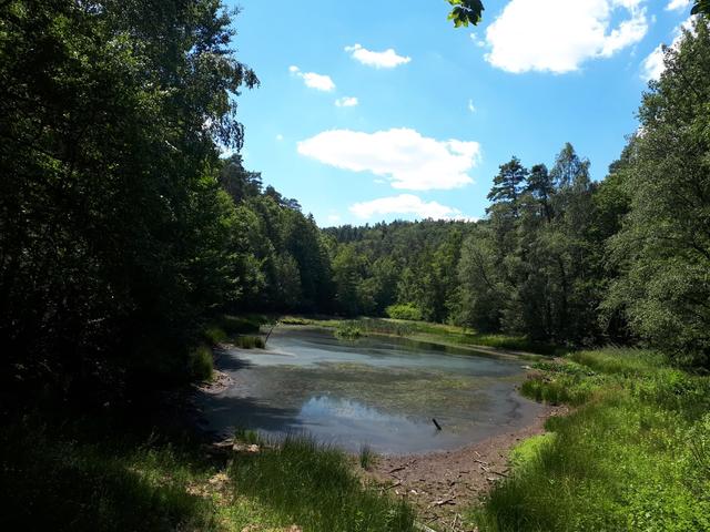 Natur pur - der Ungeheuersee. | Foto: Markus Pacher
