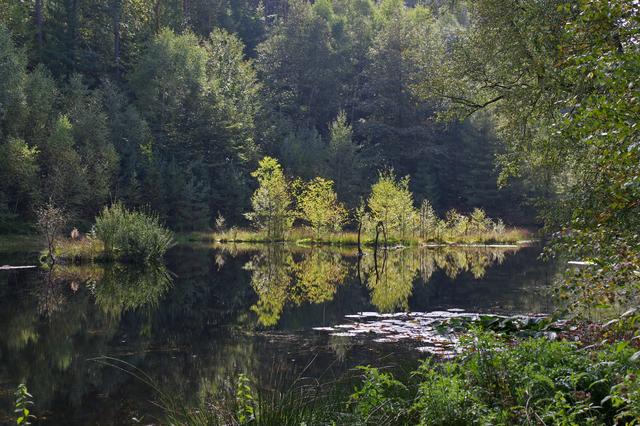 Foto: Ilona Schäfer