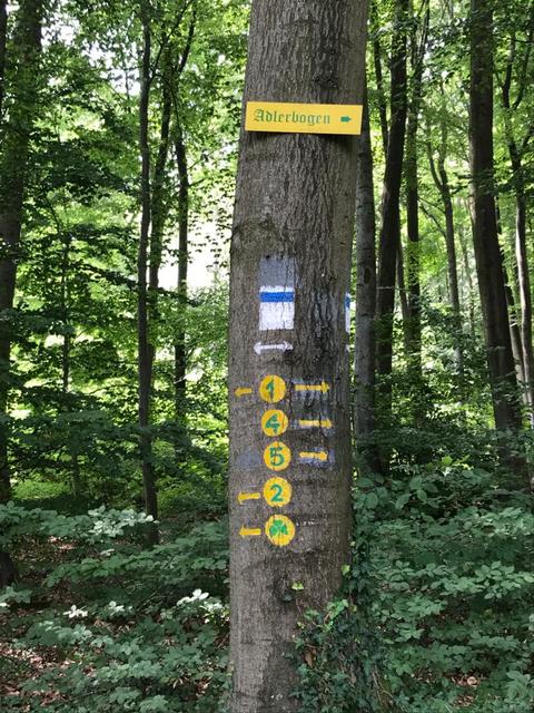 Die Wegmarkierungen  | Foto: Claudia Bardon