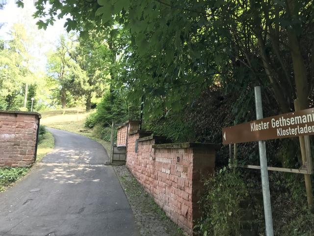 Über den Höhenweg zurück zum Kloster Gethsemani 