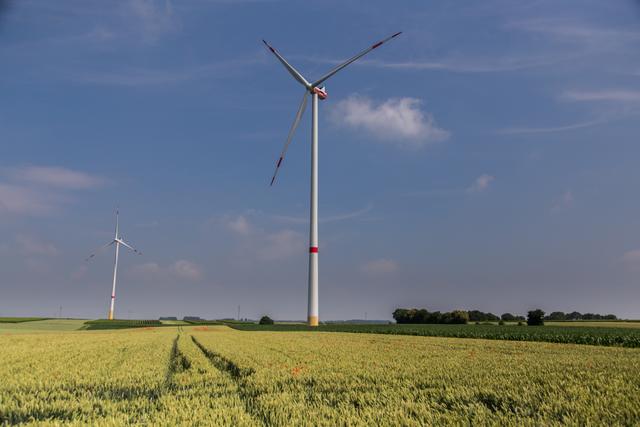 Windpark zwischen Rülzheim und Herxheim | Foto: Roland Kohls