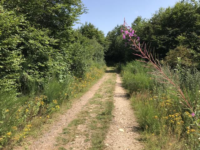 Unser kleiner Umweg führte uns durch blühende Landschaften