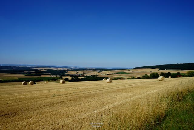 Feldernte bei Schönborn mit Blick auf Ransweiler | Foto: Stephen Wüstenberg Photographie - Wartenberg-Rohrbach