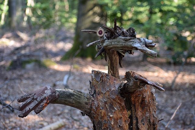Zauberwald (Nähe Frontalhütte zwischen Enkenbach-Alsenborn und Hochspeyer)
