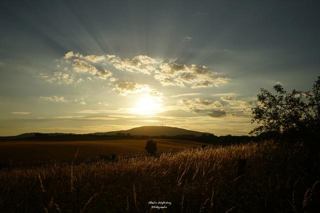 Sommerabend bei Dreisen mit Blick auf den Donnersberg | Foto: Stephen Wüstenberg Photographie - Wartenberg-Rohrbach
