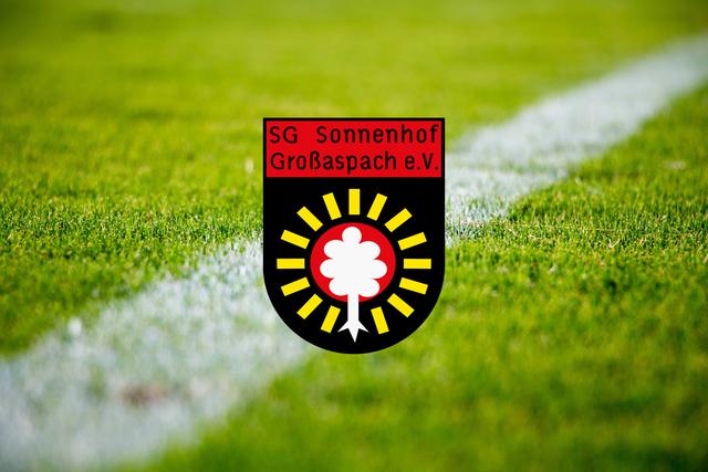 55. Platz mit 16.445 Facebook-Fans: SG Sonnenhof Grossaspach, 19. Platz 3. Liga Saison 19/20 (Stand Ende Juli 2020) | Foto: Symbolfoto pixabay