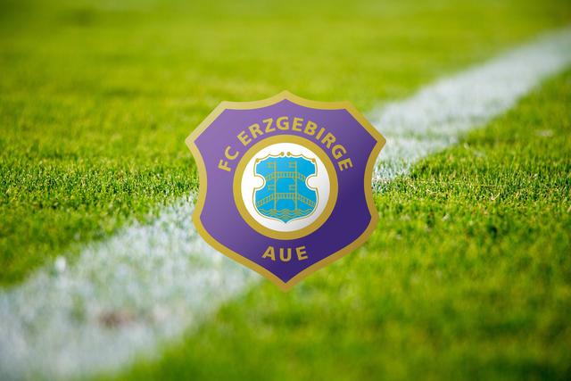 37. Platz mit 67.899 Facebook-Fans: FC Erzgebirge Aue, 7. Platz 2. Bundesliga Saison 19/20 (Stand Ende Juli 2020) | Foto: Symbolfoto pixabay