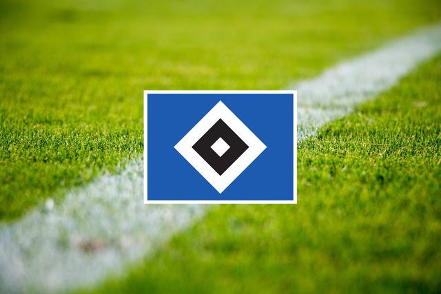 8. Platz mit 776.459 Facebook-Fans: Hamburger SV, 4. Platz 2. Bundesliga Saison 19/20 (Stand Ende Juli 2020) | Foto: Symbolfoto pixabay