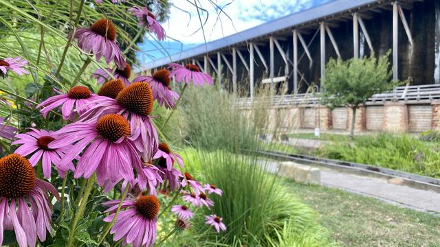Am Gradierbau in Bad Dürkheim lässt es sich besonders im Sommer aushalten. Das Salzwasser kühlt die umliegende Luft spürbar herunter | Foto: Kim Rileit 