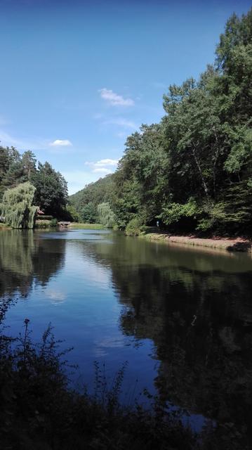 Sommer am Paddelweiher
 | Foto: Hammer Anita