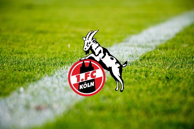 5. Platz mit 642.157 Twitter-Followern: 1. FC Köln, 14. Platz Bundesliga Saison 19/20 (Erfasst Ende Juli 2020) | Foto: Symbolfoto pixabay