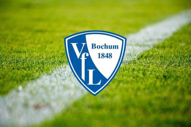 26. Platz mit 103.552 Twitter-Followern: VfL Bochum 1848, 8. Platz 2. Bundesliga Saison 19/20 (Erfasst Ende Juli 2020) | Foto: Symbolfoto pixabay
