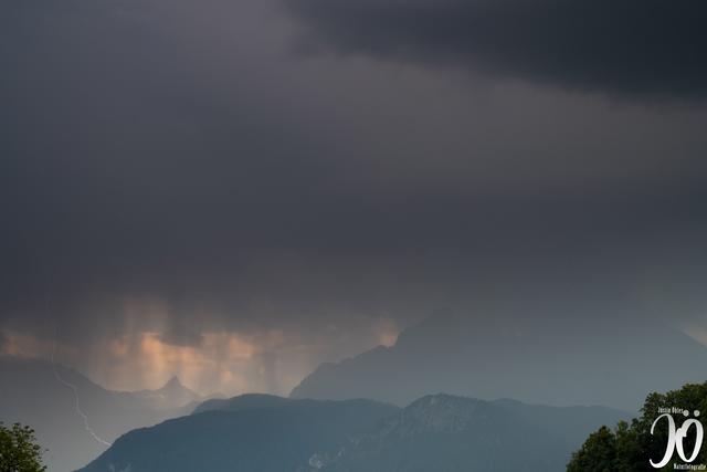 Foto: Naturfotografie Justin Öhler