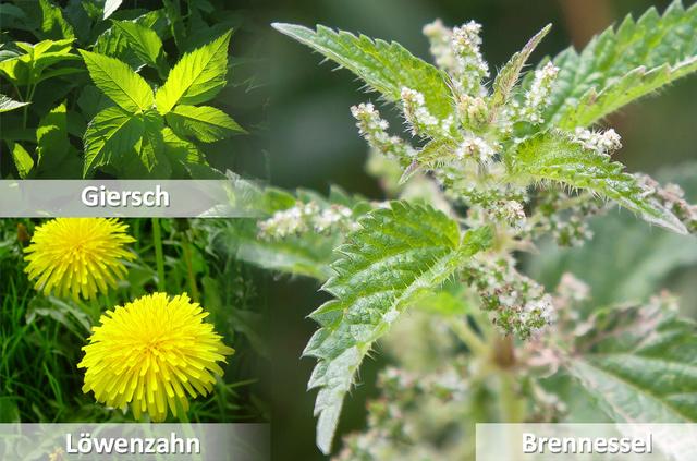 Foto: pixabay.de / feindel-werbung.de