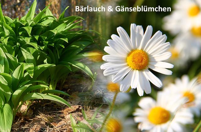 Foto: pixabay.de / feindel-werbung.de