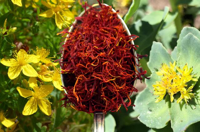 Johanniskraut, Safran und Rosenwurz | Foto: pixabay.de / feindel-werbung.de