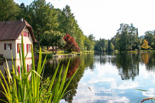 Das Foto vom Sägmühlweiher in Ludwigswinkel ist der Sieger für den Juni 2019.  | Foto: Jürgen Leis