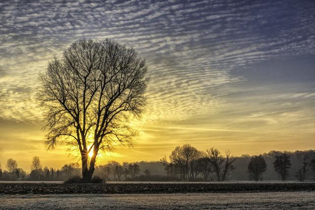 „Raureif auf den Wiesen bei Herxheim“: Diese Aufnahme von Wochenblatt-Reporter Florian Schmadel wird das Titelbild des neuen Kalenders zieren.  | Foto: Florian Schmadel