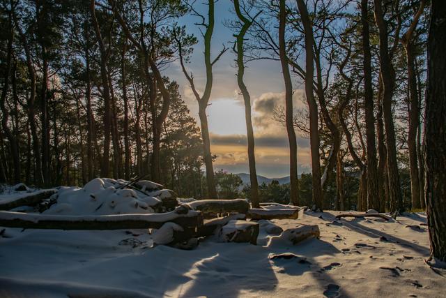 „Winterliche Stimmung beim Zeltplatz auf der Kalmit“: Diese Aufnahme von Wochenblatt-Reporter Nikolas Jach ist das Januarmotiv des neuen Kalenders.  | Foto: Nikolas Jach