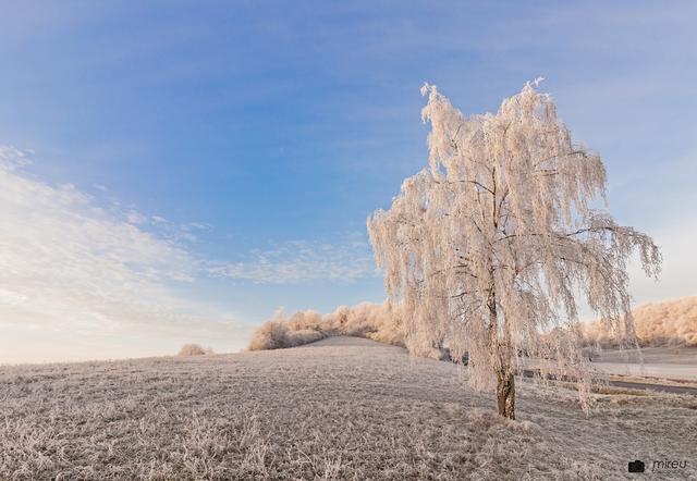 Das Foto mit winterlichen Impressionen in Stauf ist der Sieger für den Januar 2019. | Foto: Michaela Reuß