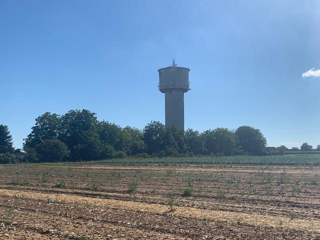Der lange Lulatsch von Lustadt. | Foto: Franz Walter Mappes