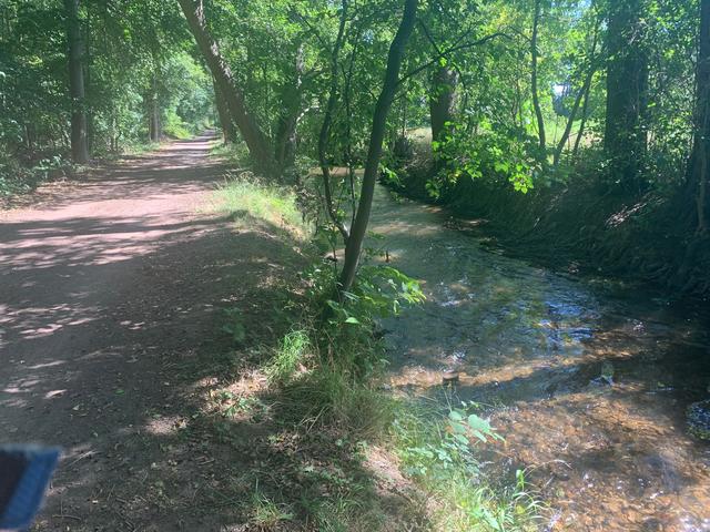 Einer der schönsten Streckenabschnitte: Am Speyerbach entlang durch den Ordenswald. | Foto: Franz Walter Mappes