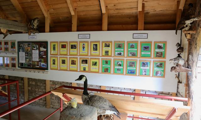 Foto: Hans-Peter Melder