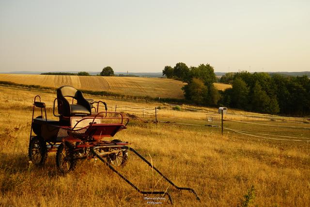 Augustidylle mit Kutsche in Wartenberg-Rohrbach | Foto: Stephen Wüstenberg Photographie - Wartenberg-Rohrbach