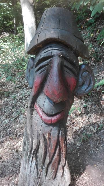 Corona-Abstands-Ohren | Foto: Hammer Anita