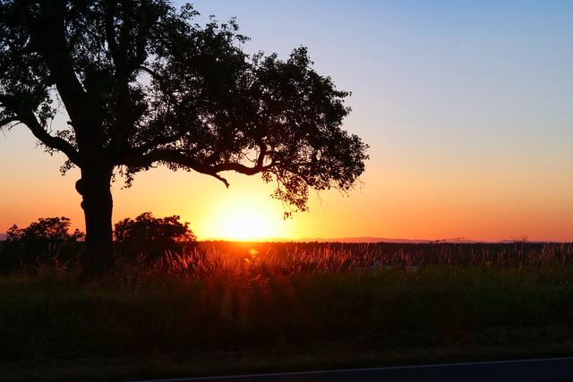 Schöne Heimat!
Sonnenuntergang am letzten Freitag bei Stettfeld...... | Foto: Gerhard Quarda