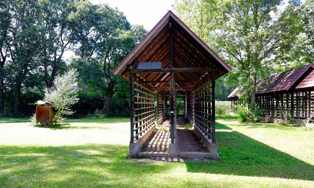 Foto: Hans-Peter Melder