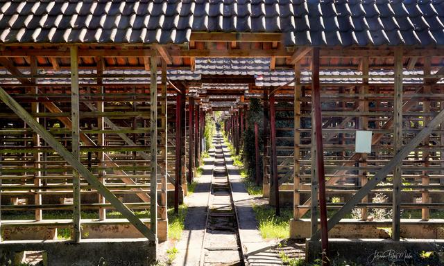 Foto: Hans-Peter Melder