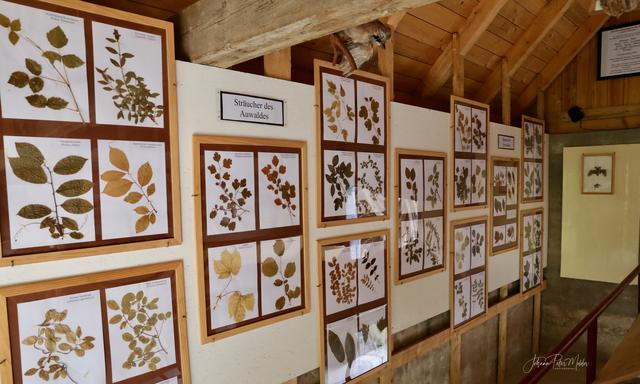 Foto: Hans-Peter Melder