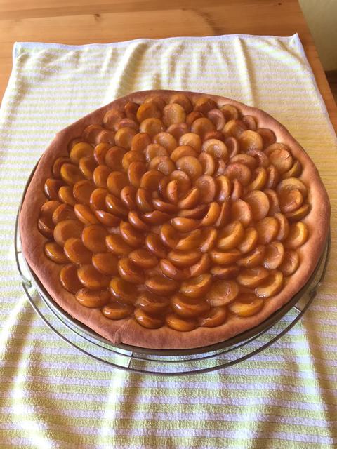 Heidi's Mirabellenkuchen | Foto: Hammer Anita