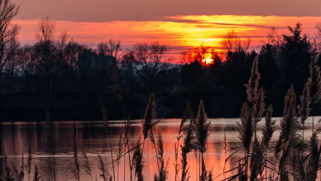 Sonnenuntergang am Willersinn  Dezember 2019 