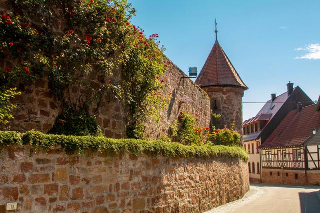 Dörrenbach Dornröschendorf Dörrenbach / Pfalz  Juni 2020