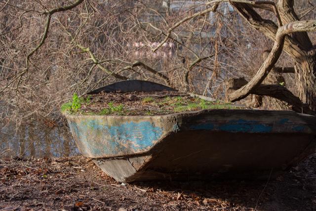 Alter Kahn Dezember Luisenpark