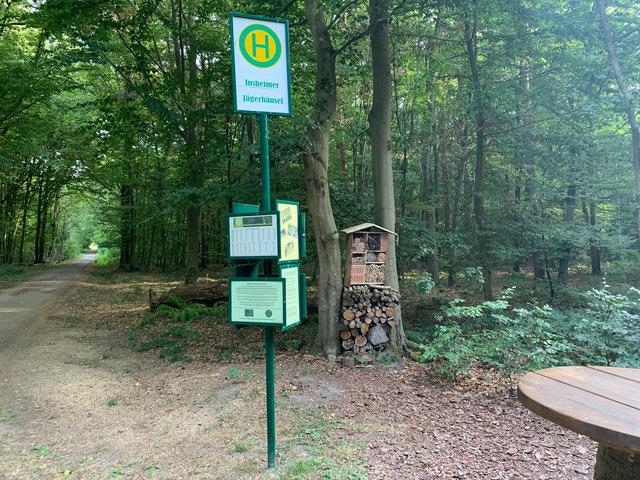 Warten bis der Bus kommt, macht hier keinen Sinn. Waldweg zwischen Hayna und Rohrbach, am Insheimer Jagdhäusel. | Foto: Franz-Walter Mappes