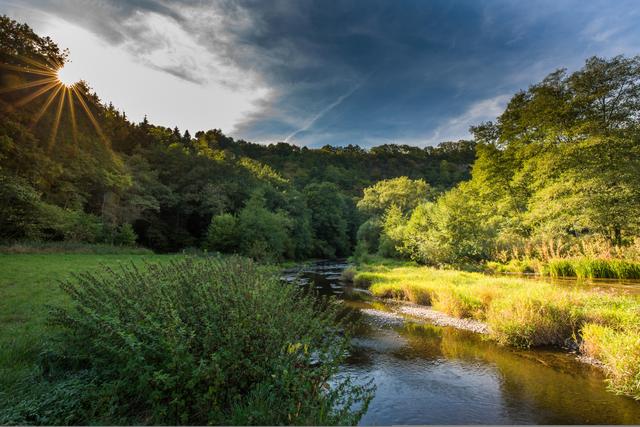 Traumhafte Natur auf dem Nahesteig | Foto: soonteam