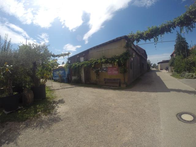 Durch die Südpfalz | Foto: Franz-Walter Mappes