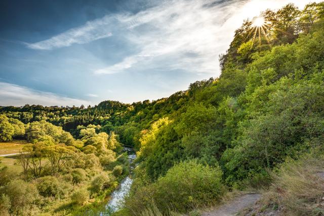 Wandern und dabei der Natur nah sein liegen voll im Trend, wie zum Beispiel hier auf dem Nahesteig. | Foto: soonteam