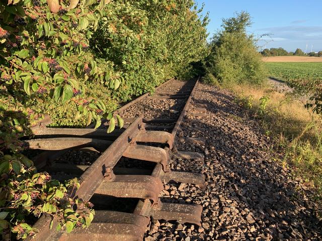 Der Zug ist abgefahren: Stillgelegte Bahnstrecke zwischen Herxheim und Offenbach | Foto: Franz Walter Mappes