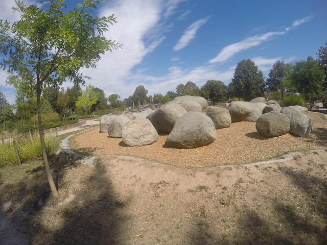 Rhein-Steine | Foto: Franz-Walter Mappes